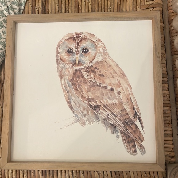 NWT Creative Co-op framed art set of 2 owl (12” x 12”) & deer (12” x 10”) - Picture 2 of 6